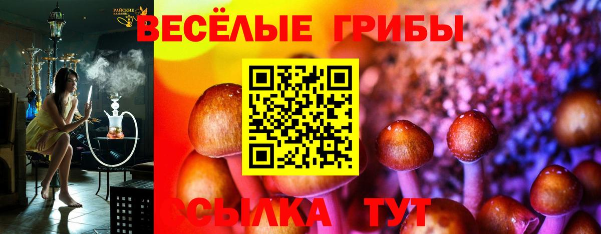Отрадное  Псилоцибиновые грибы Cubensis  Вход с VPN  Галлюциногенные грибы Magic Shrooms 